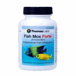 Amoxicillin Pills